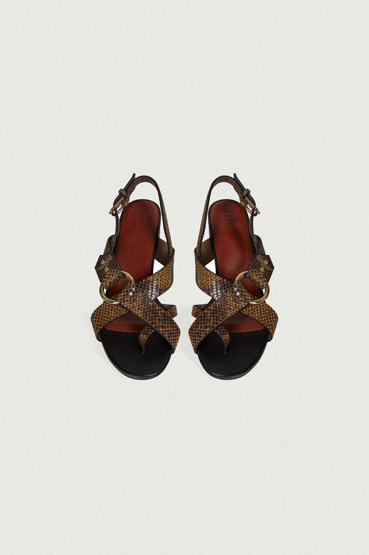 SANDALES FLORENTINE PYTHON